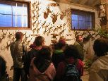 Muzeum Przyrodnicze Nowosiółki - Ile tu jeleni ;-)