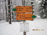 „Śnieżne Trasy przez Lasy” to 80 km tras do narciarstwa śladowego, w dużej części przygotowywana w okresie zimowym skuterem śnieżnym. Główny szlak to 50-kilometrowa pętla. Uzupełniają ją szlaki łączące, umożliwiające wybór krótszych rozwiązań. Śnieżne Trasy przez Lasy wytyczone zostały ścieżkami leśnymi i łąkami, z których roztaczają się piękne panoramy Beskidu Niskiego i Sądeckiego. Pętle wiodą przez dawne wioski łemkowskie, obok cerkwi, starych cmentarzy, unikatowych kapliczek i kamiennych krzyży.  Niestety powiat gorlicki leży na peryferiach woj. małopolskiego a przez to te wspaniałe trasy nie są należycie  wypromowane i  docenione przez turystów.