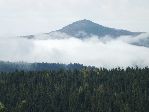 Mogielica (1171) - najwyższy szczyt Beskidu Wyspowego w poburzowych mgłach