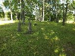 Dźwiniacz - cmentarz