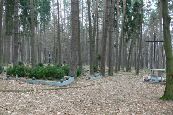 Warzyce - cmentarz ofiar II wojny